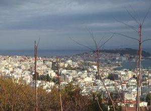 Οικόπεδο, Μεσαίος Χάλικας