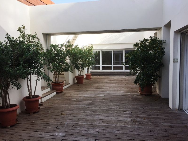 Fotografija 98641452