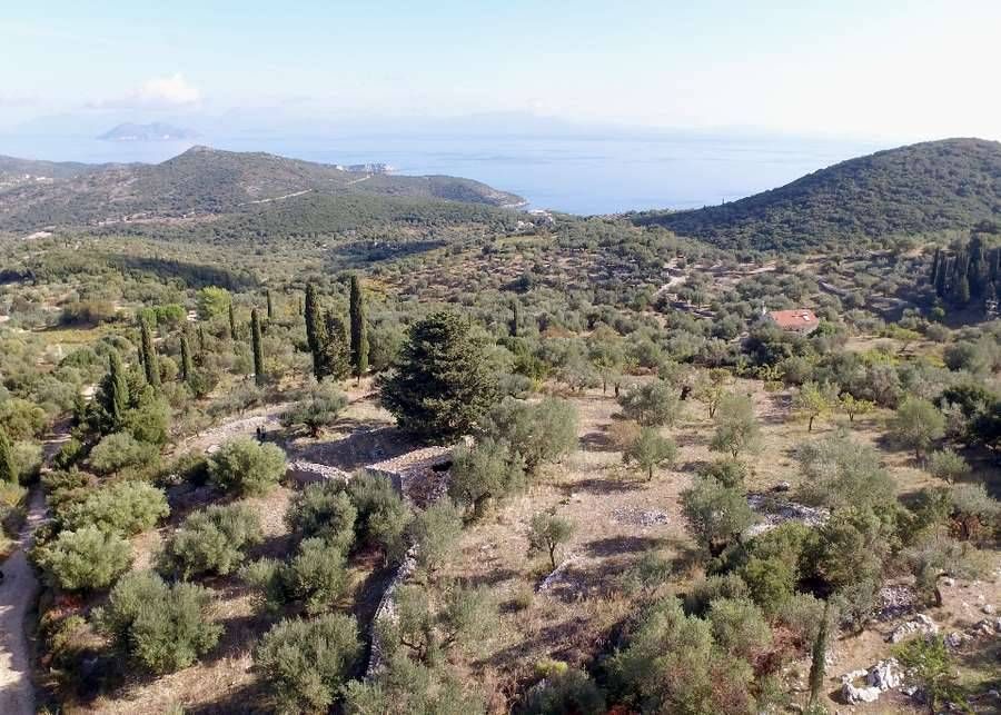 Fotografija 98643489