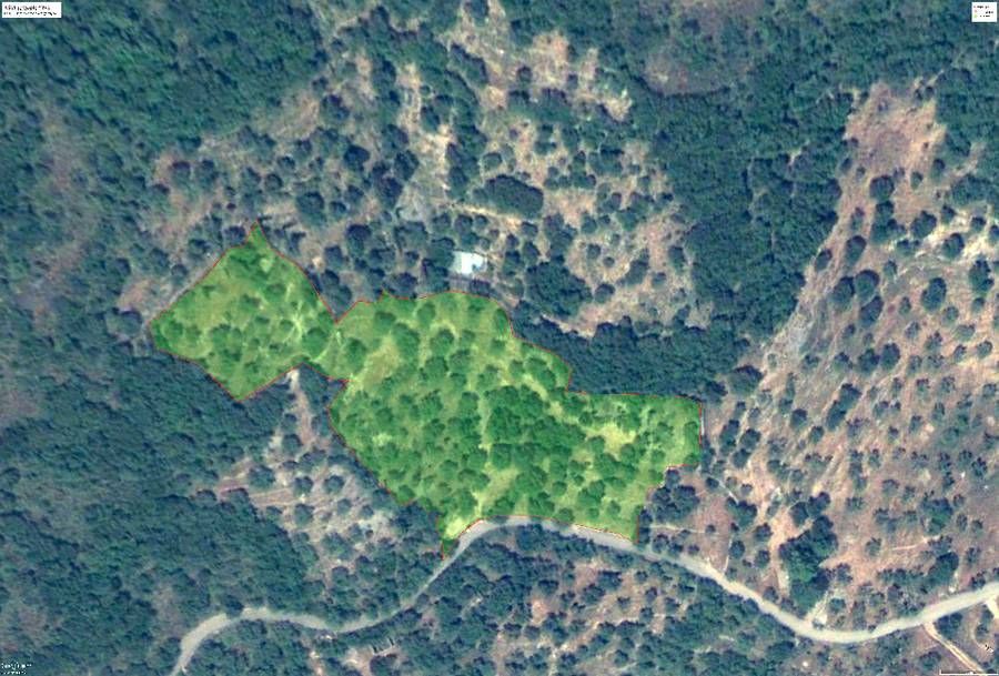 Photo 98645568
