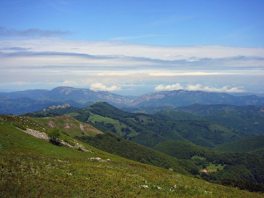 Photo 98648133