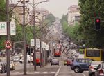 Foto 98651517