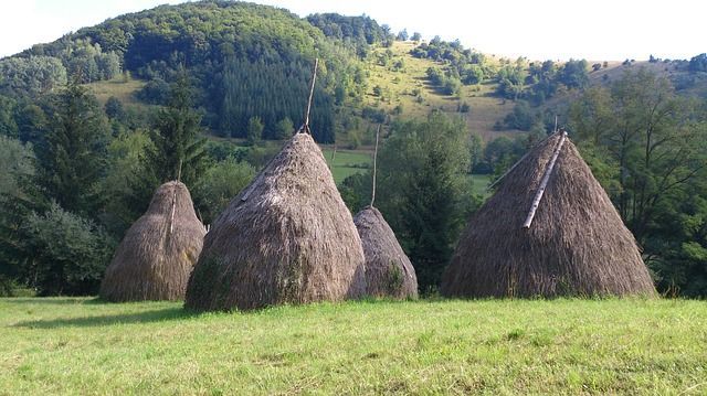 Foto 98690475