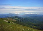 Photo 98690481