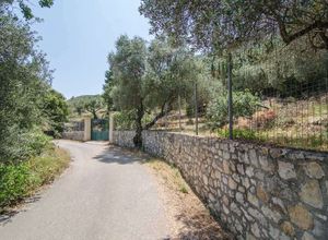 Fotografija 98694771