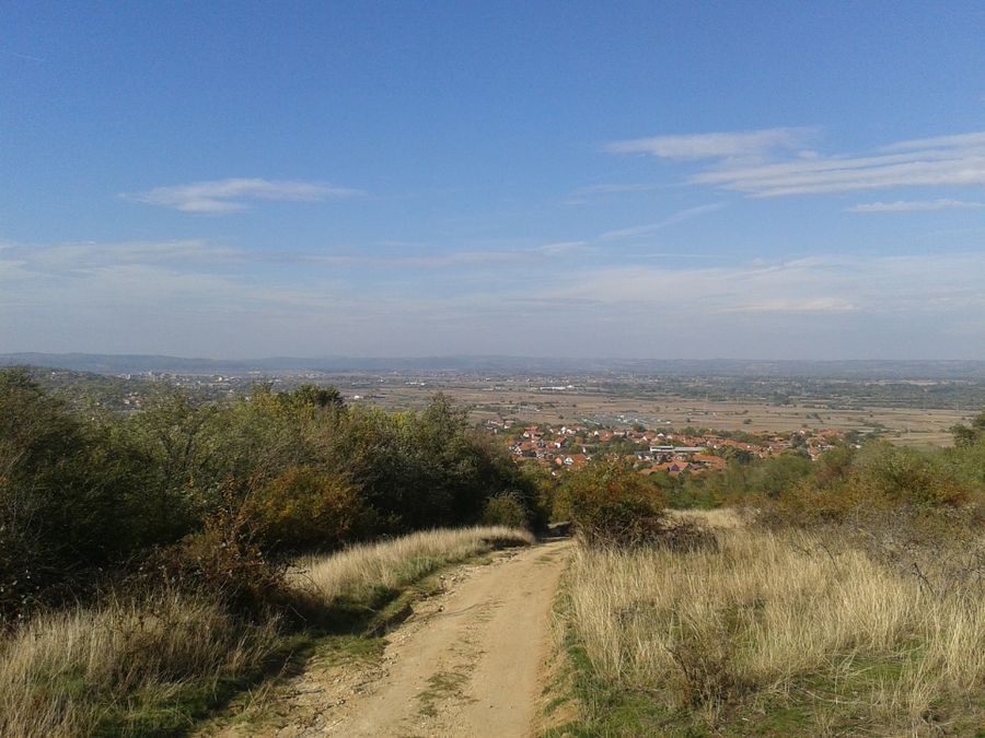 Photo 98705169