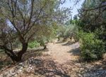 Photo 98725275