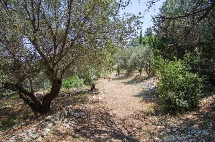 Photo 98725617
