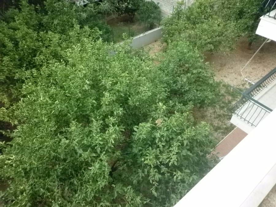 Photo 99010419