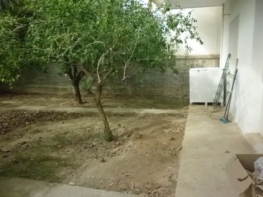 Photo 99010434