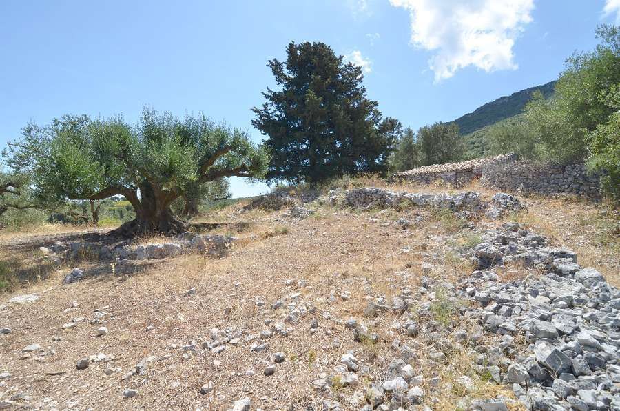 Photo 99239220